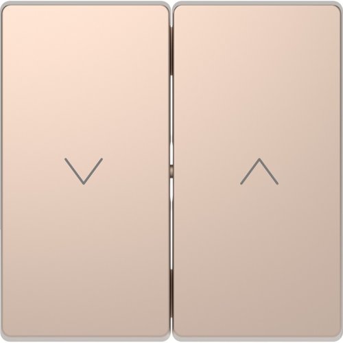 Лицевая панель Schneider Electric Merten D-Life для 2-кл. выключателя жалюзи шампань фото Лицевая панель Schneider Electric Merten D-Life для 2-кл. выключателя жалюзи шампань картинка